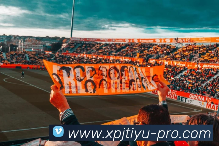 新葡京服务体系